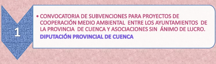 1.1_Cooperacion_11-3-21.jpg