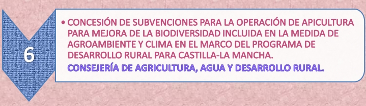 1.6_Apicultura_11-3-21.jpg