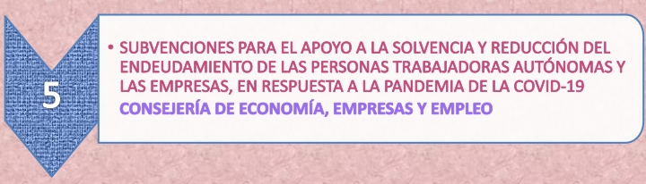 14.5._Subvenciones_autonomos_y_empresas_7-6-21.jpg