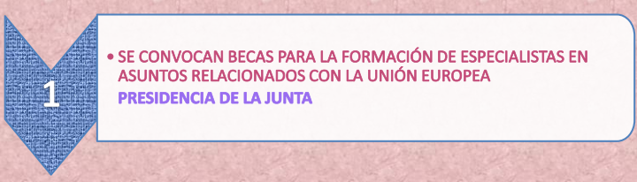 17.1._Becas_formacion_UE_22-6-21.png