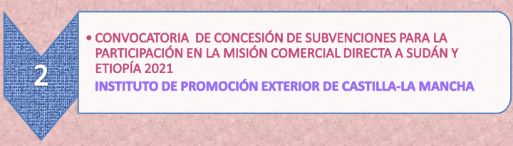 17.2._Subvenciones_Sudan_22-6-21.png