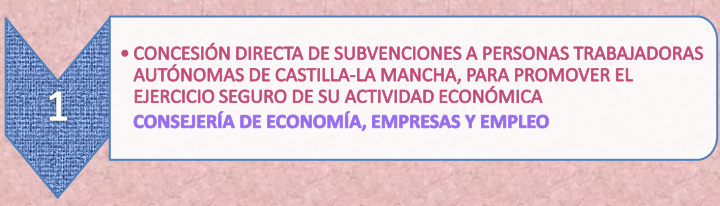 20.1._Subvencion_autonomos_19-7-21.png