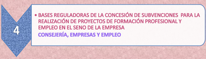 24.4._Proyectos_FP_13-8-21.png