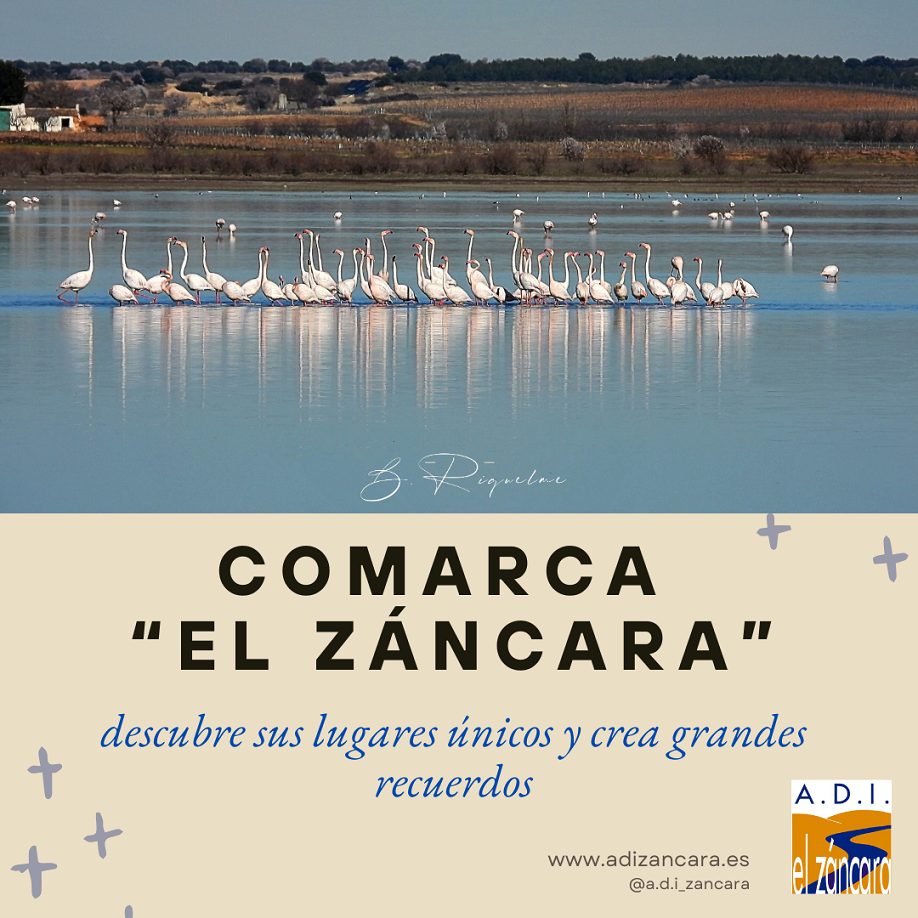 27-2-25_Promoción_comarcal_1.png