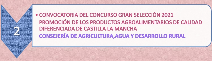 5.2._Convocatoria_concurso_gran_seleccion_8-4-21.jpg