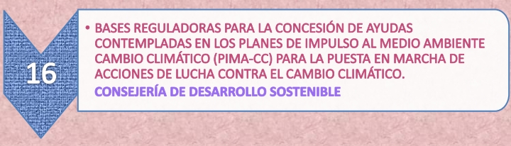 6.16._Ayudas_Medio_Ambiente_12-4-21.jpg