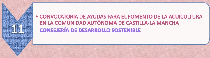 9.11._Ayudas_acuicultura_6-5-21.jpg