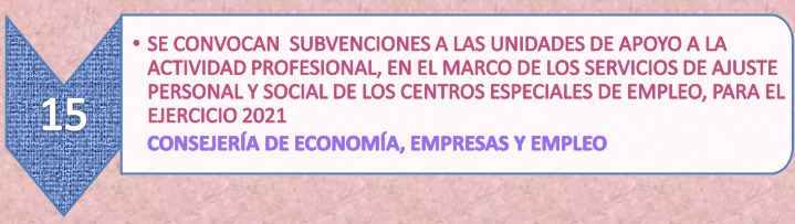 9.15._Subvención_actividad_profesional_6-5-21.jpg
