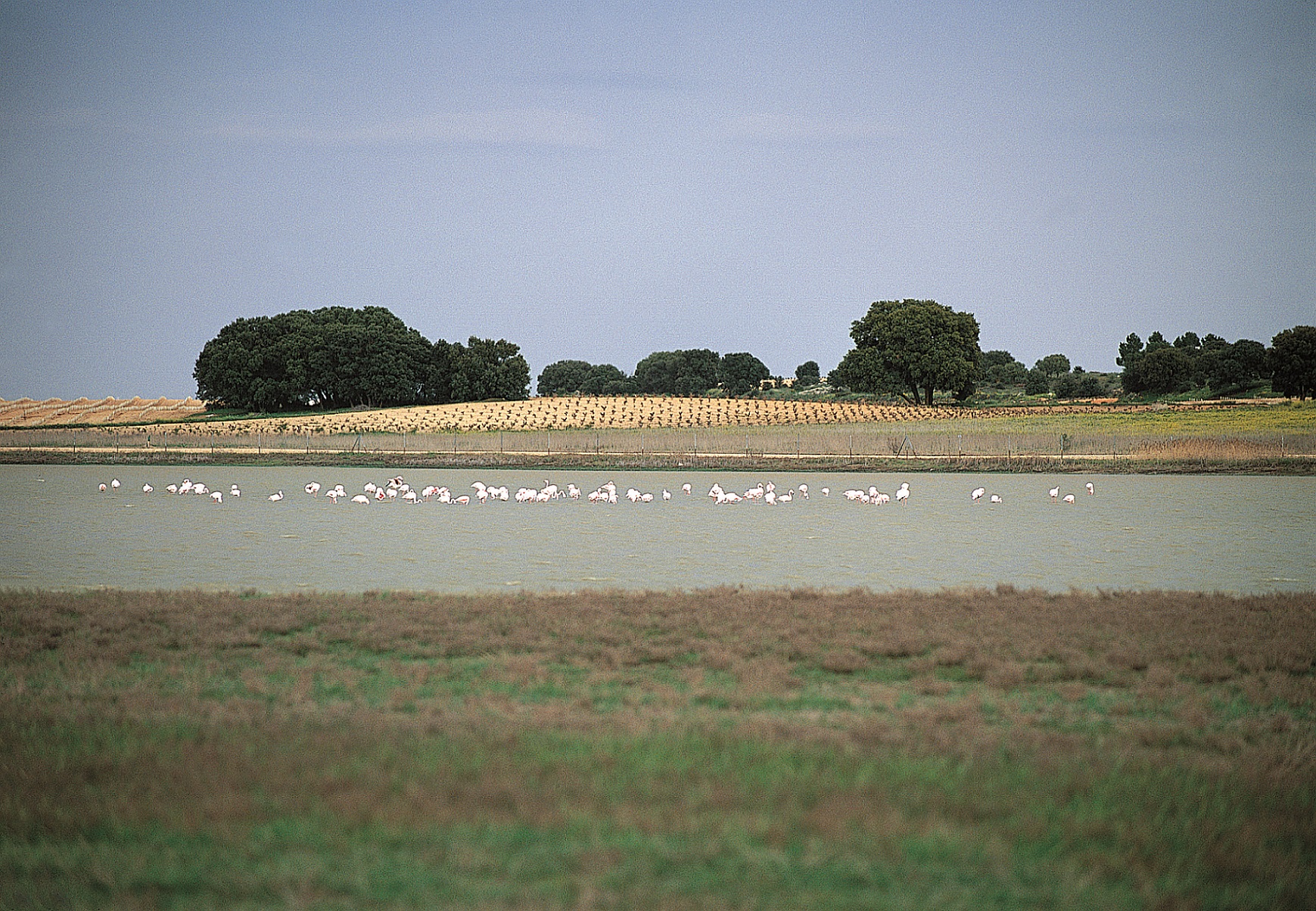 Día_de_los_Humedales_1.jpg
